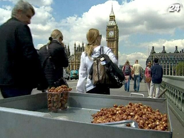 Высокие цены в Лондоне отпугивают туристов посетить Олимпиаду