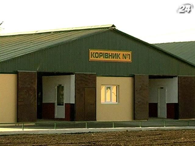 Крестьянам выделили 1 млн грн на содержание молодняка крупного рогатого скота Крестьянам выделили 1 млн грн на содержание молодняка крупного рогатого скота