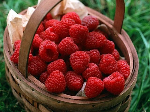 Постачальник: АП таки закупила малину по 672 гривні Постачальник: АП таки закупила малину по 672 гривні