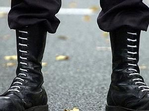 Німеччина: У Бранденбурзі заборонили діяльність неонацистів Німеччина: У Бранденбурзі заборонили діяльність неонацистів