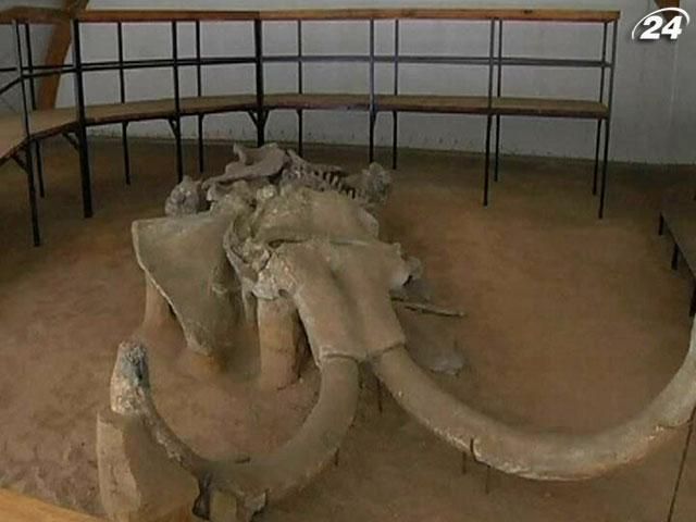 В Сербии нашли останки по меньшей мере 5 мамонтов