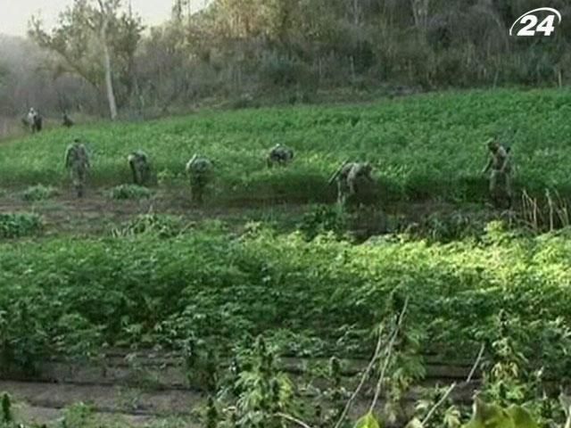 В Уругвае хотят узаконить торговлю марихуаной