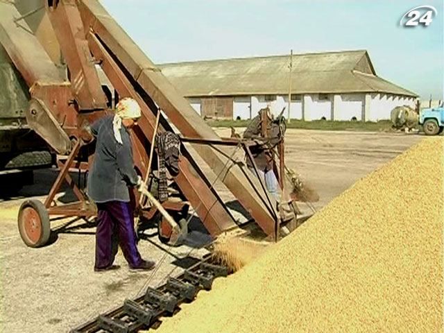 Пропозиція зерна в наступному маркетинговому році становитиме 60 млн т