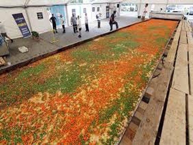 Самую большую в мире Лазанью приготовили в Польше Самую большую в мире Лазанью приготовили в Польше