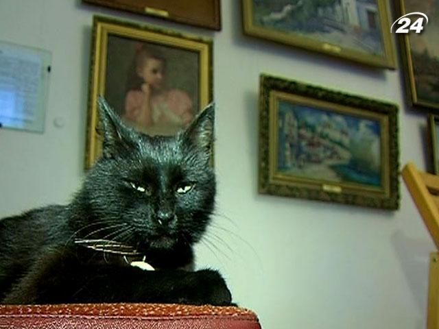 Кошка Муха попала в список самых известных музейных кошек