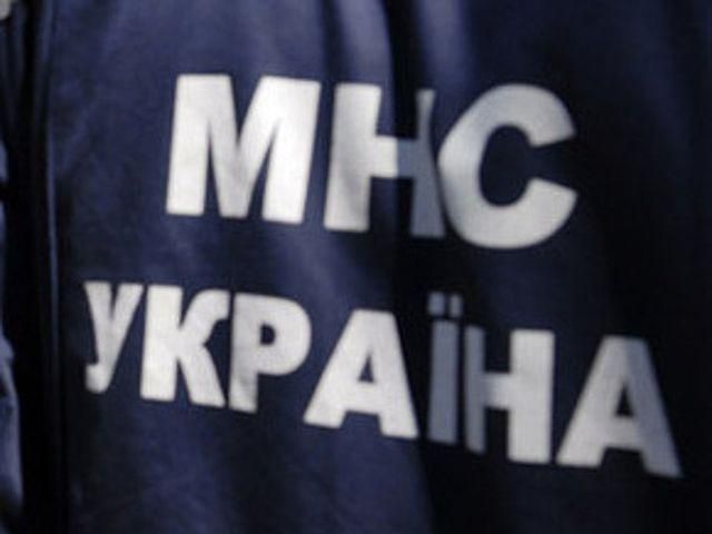 На Дніпропетровщині дерево привалило маршрутку