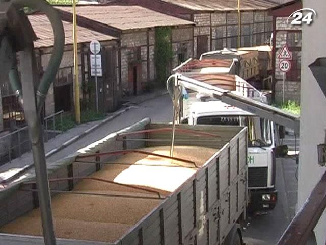 Врожай зерна в Україні в 2012р. зменшиться на чверть Врожай зерна в Україні в 2012р. зменшиться на чверть