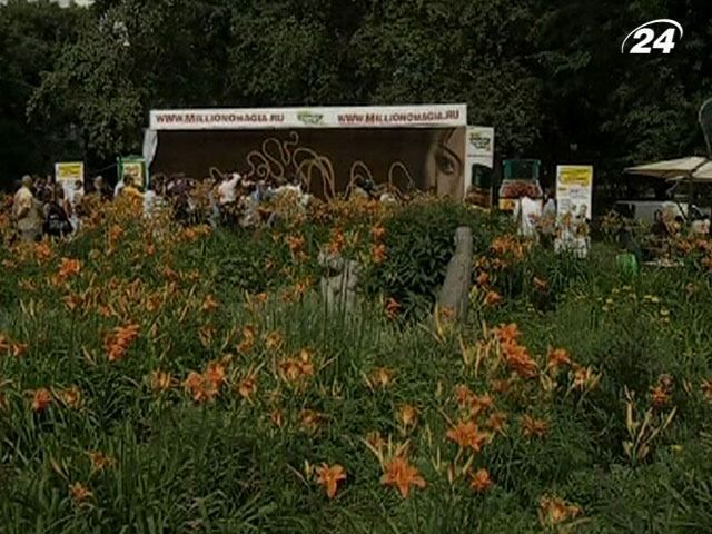 В России создали самую большую в мире картину из кофейных зерен В России создали самую большую в мире картину из кофейных зерен