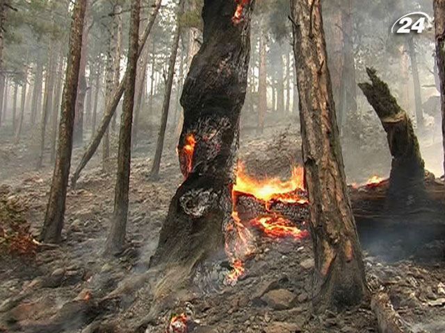 У заповіднику поблизу Ялти горить вже більше 8 гектарів лісу