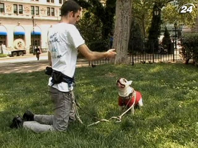 Pet Check - додаток для смартфонів, що дозволяє контролювати прогулянку собак Pet Check - додаток для смартфонів, що дозволяє контролювати прогулянку собак