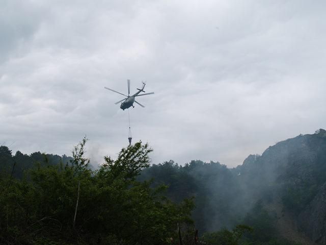Пожежу в Ялтинському заповіднику гасять два літака та ще один вертоліт Пожежу в Ялтинському заповіднику гасять два літака та ще один вертоліт
