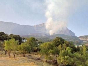 Пожежники ліквідували вогонь поблизу Ялти