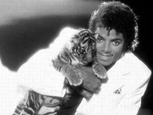 У Каліфорнії померла тигриця, яка належала Майклу Джексону