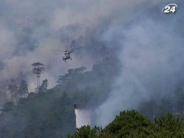 Підрозділи контролюють пожежу у ялтинському заповіднику Підрозділи контролюють пожежу у ялтинському заповіднику