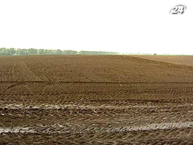 Землю будут продавать по $ 300/га Землю будут продавать по $ 300/га