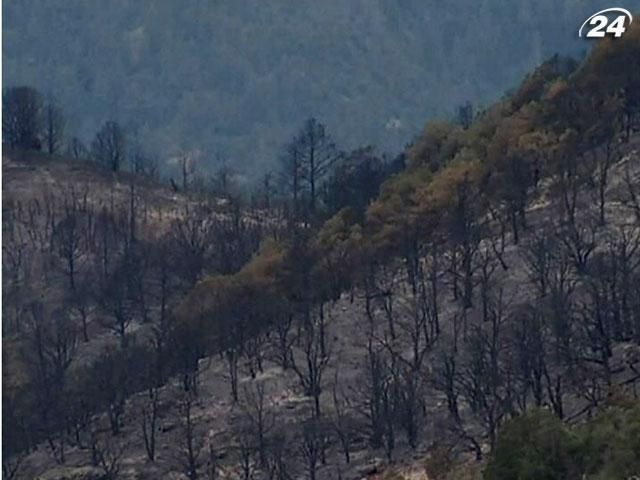 Жертвами пожаров в Колорадо стали по меньшей мере 2 человека