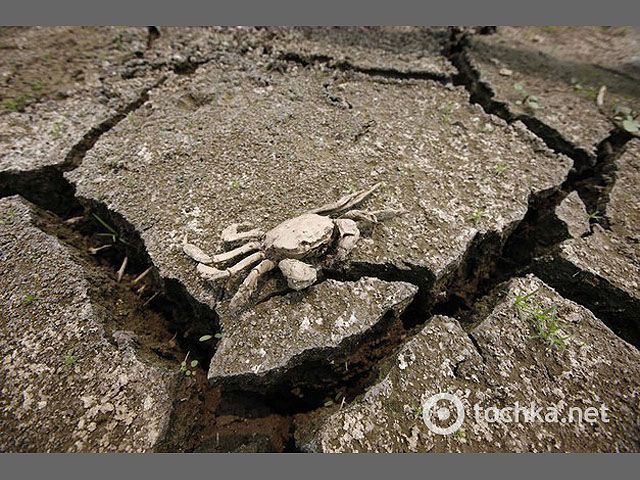 Южная Корея страдает от рекордной засухи Южная Корея страдает от рекордной засухи