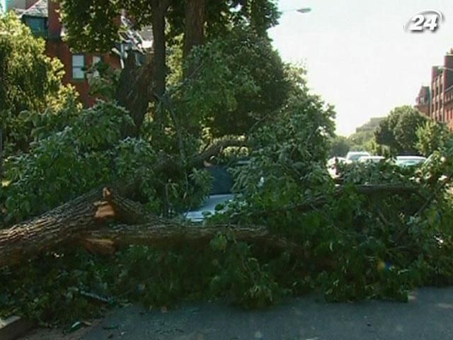 Более 10 человек погибли в результате урагана на востоке США