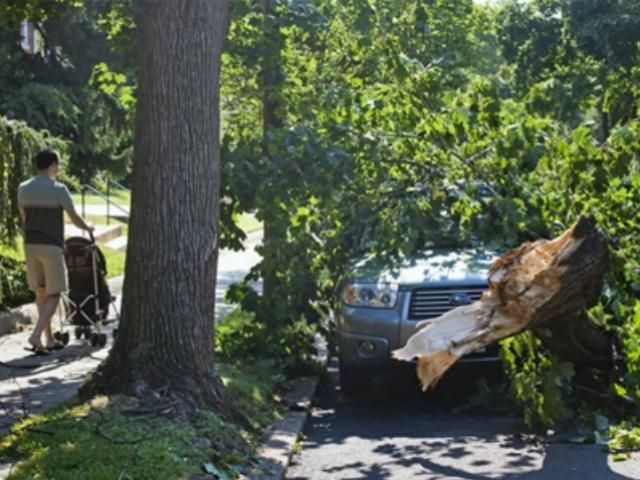 Шторм в США: 17 погибших Шторм в США: 17 погибших