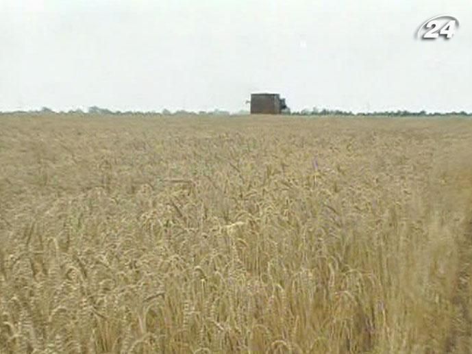 УАК: в Украине собрали 1 млн тонн зерна