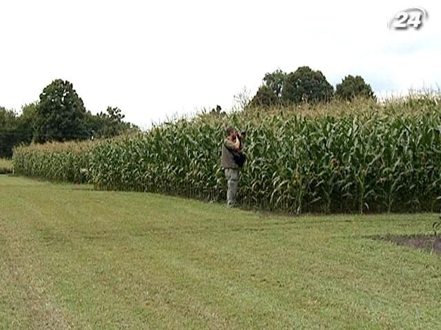 Китай інвестує в український агросектор $3 млрд Китай інвестує в український агросектор $3 млрд