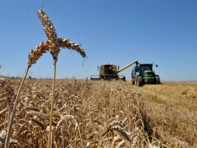 Азаров обещает 47 млн тонн зерна в этом году