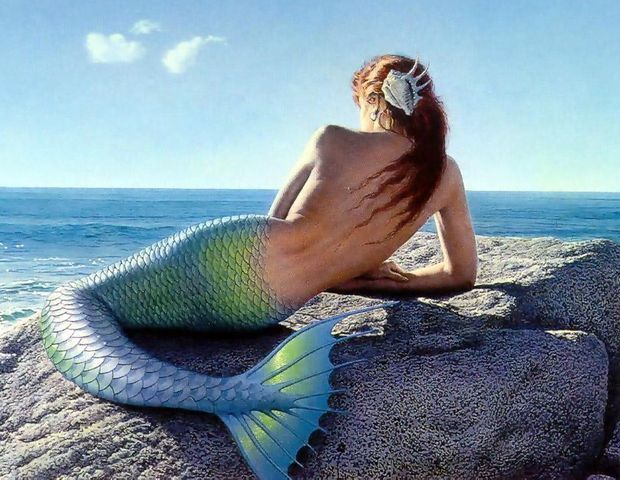 Вчені спростували міф про русалок Вчені спростували міф про русалок