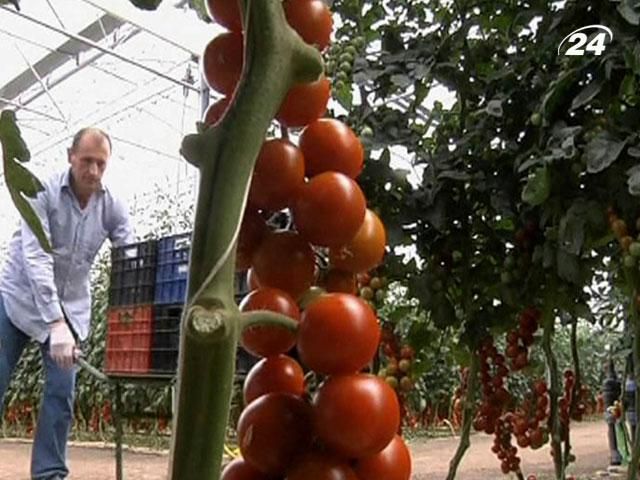 На італійських продуктах красуватиметься "зроблено в Італії"