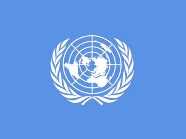 Беларусь не хочет сотрудничать с спецдокладчиком ООН Беларусь не хочет сотрудничать с спецдокладчиком ООН