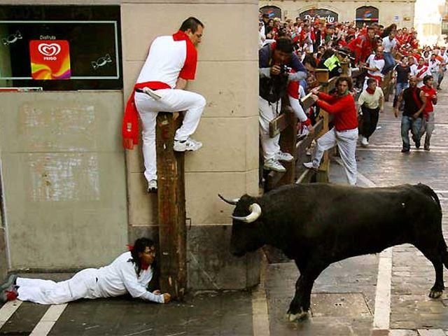 В Іспанії 7 осіб поранено під час забігу людей та биків