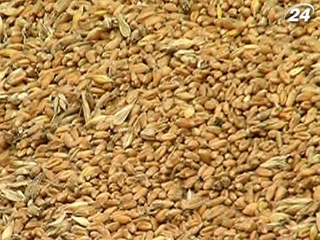 Эксперты: Украина снизит экспорт зерна в следующем году на 9% Эксперты: Украина снизит экспорт зерна в следующем году на 9%