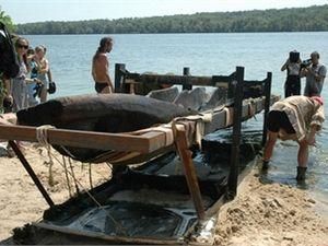 Со дна Днепра подняли 500-летнюю лодку Со дна Днепра подняли 500-летнюю лодку