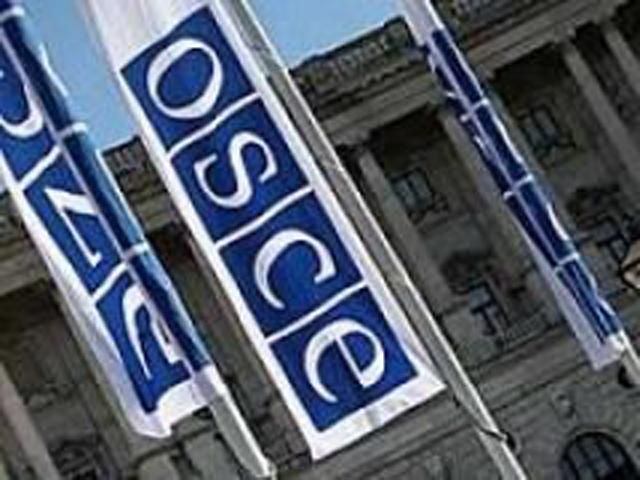 ОБСЕ призывает освободить Тимошенко, Луценко и Иващенко