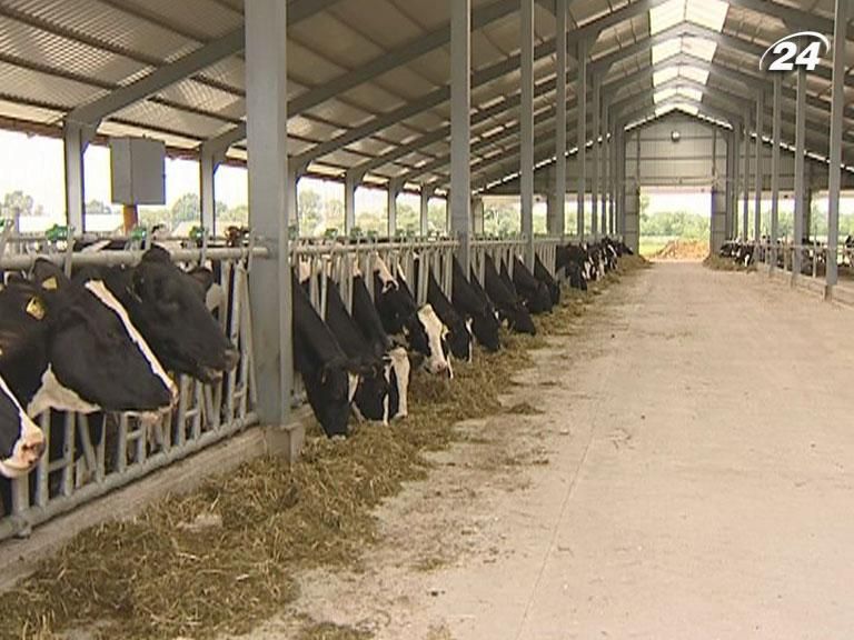 Аграріїв обмежать у нецільовому використанні ПДВ Аграріїв обмежать у нецільовому використанні ПДВ