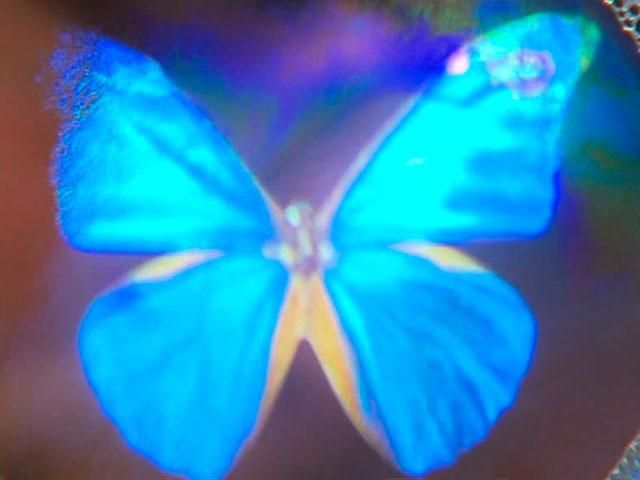 Ученые из Японии показывают кино на мыльной пленке (Фото) Ученые из Японии показывают кино на мыльной пленке (Фото)