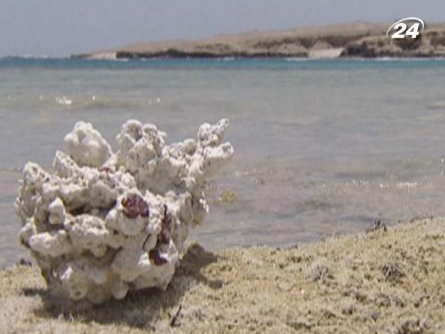 Марса Алам - египетский курорт, где пустыня встречается с морем Марса Алам - египетский курорт, где пустыня встречается с морем