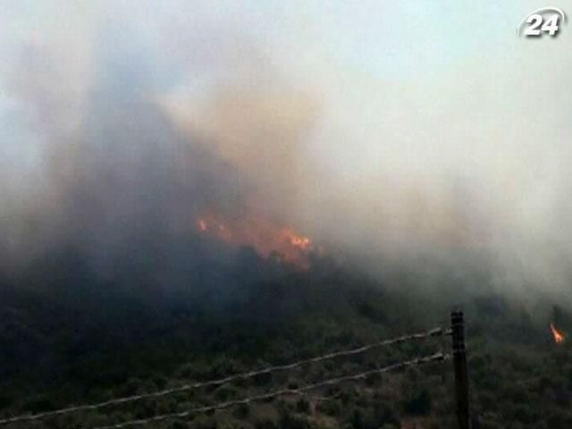 Внаслідок пожеж в Італії постраждало 5 вогнеборців Внаслідок пожеж в Італії постраждало 5 вогнеборців