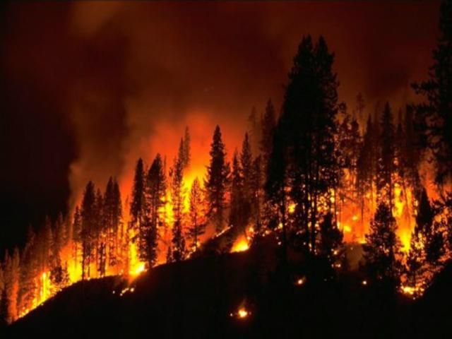 В Україні оголосили попередження про пожежну небезпеку В Україні оголосили попередження про пожежну небезпеку