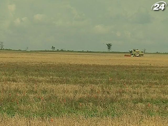 Аграріям виплатять 500 млн грн компенсації за зернові втрати
