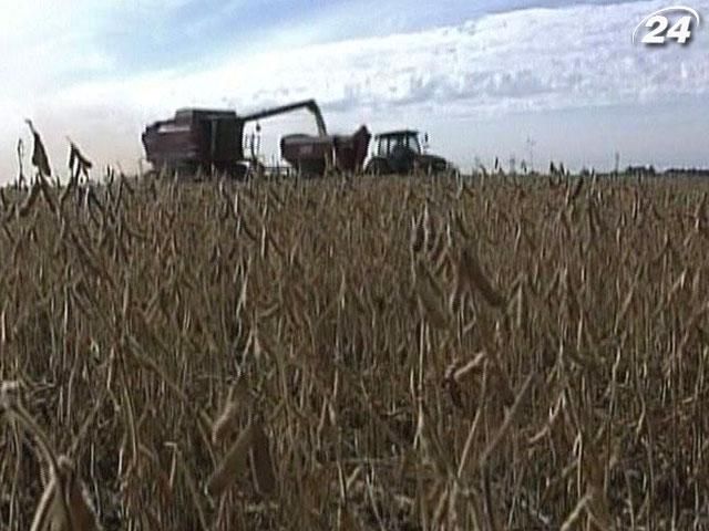 Из-за засухи в США дорожают соя, кукуруза, пшеница