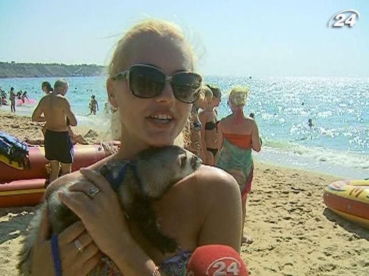 Отдых с домашним любимцем реален, но дороже Отдых с домашним любимцем реален, но дороже