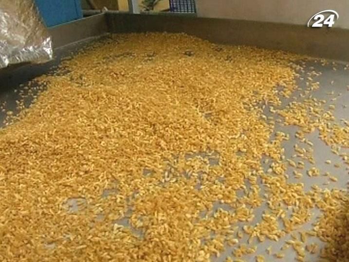 В Індонезії вчені винайшли штучний замінник рису В Індонезії вчені винайшли штучний замінник рису