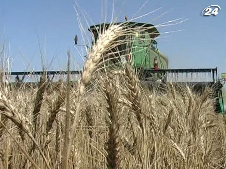 Про світову продовольчу кризу говорити зарано Про світову продовольчу кризу говорити зарано