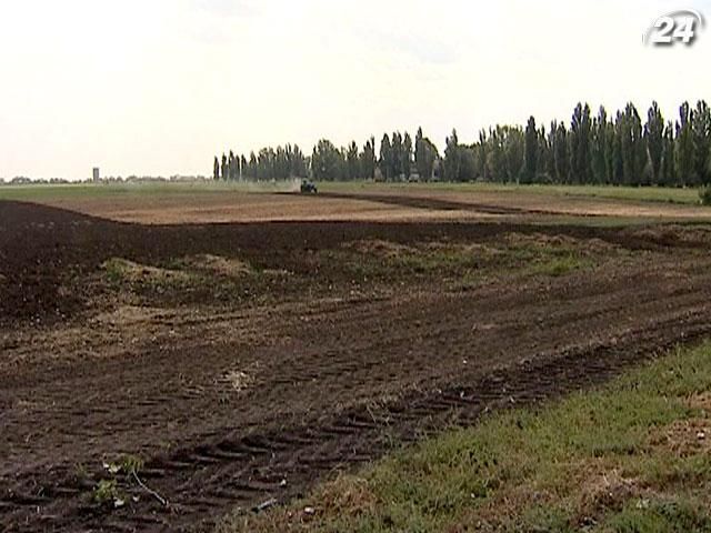 Стоимость вспаханной земли в Украине завысили на 6,5 тыс. грн на каждом гектаре