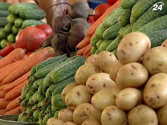 В Кабмине планируют выйти на производство 30 млн тонн овощей ежегодно