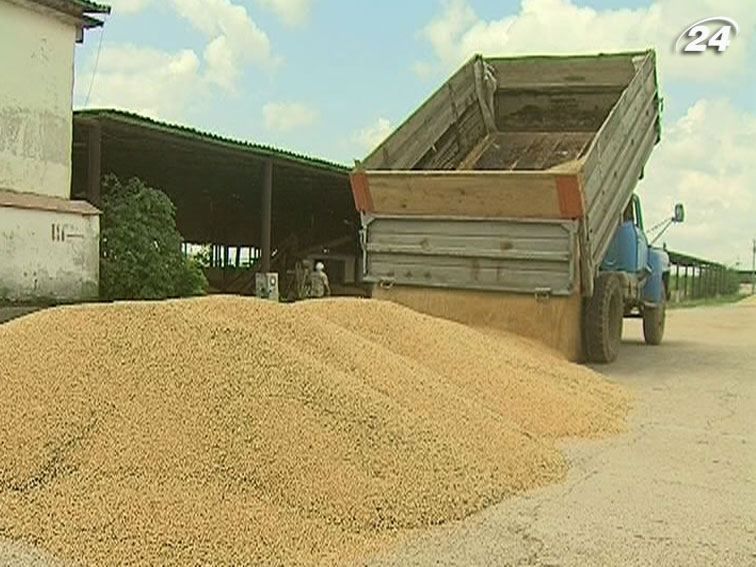 Аграриям дадут 450 млн грн компенсации ущерба из-за засухи Аграриям дадут 450 млн грн компенсации ущерба из-за засухи