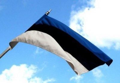 МЗС Естонії: Росія образила естонців заявами про неонацизм