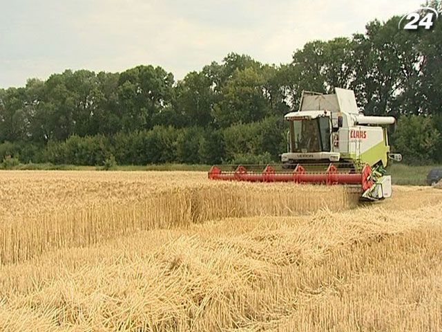 Экспорт зерновых в июле значительно ниже планового