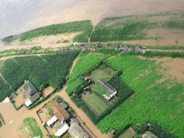 Повінь у Північній Кореї: 88 загиблих (Фото)