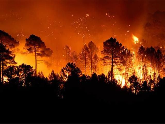 Біля Ялти велика пожежа - горить ліс